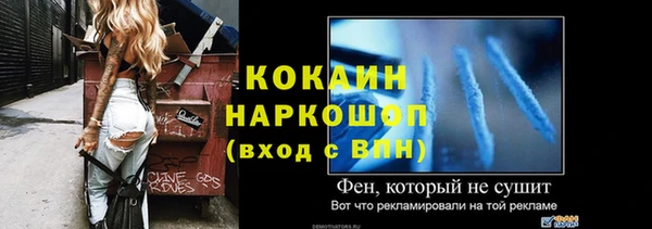 прущие грибы Сафоново