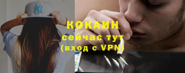 крисы Михайловск