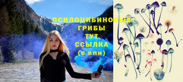 скорость Богородск